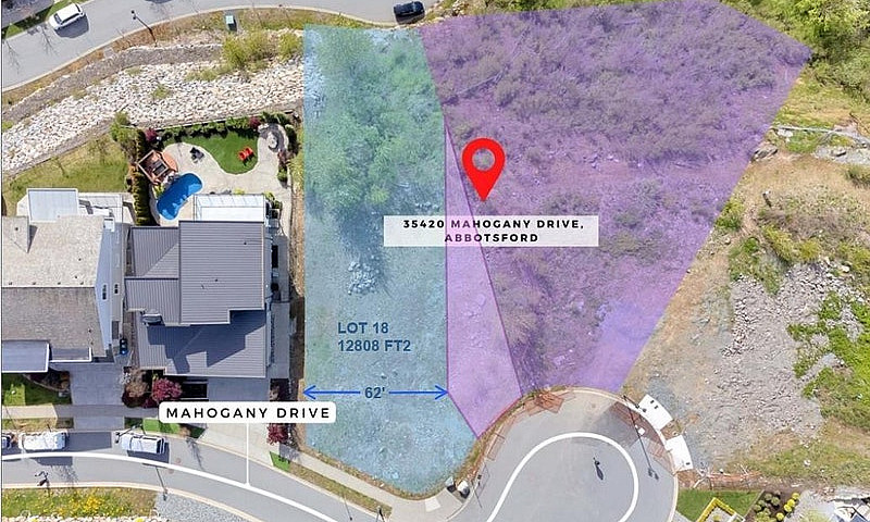 Lot 18 35420 Mahogan...
