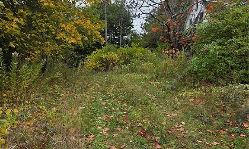19 Carlisle Road Fre...
