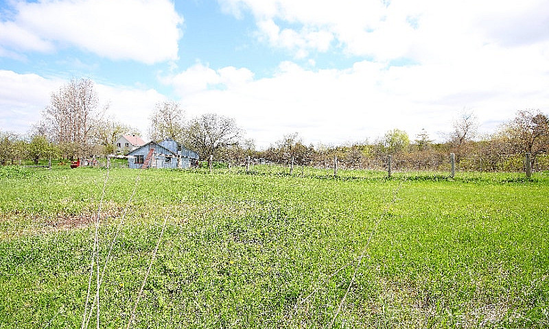 Fermette De  83 Acre...