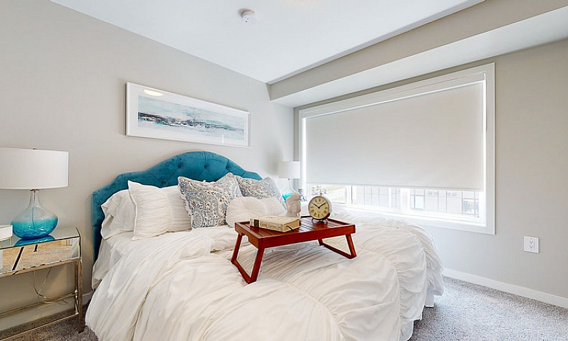 Element Townhomes In...