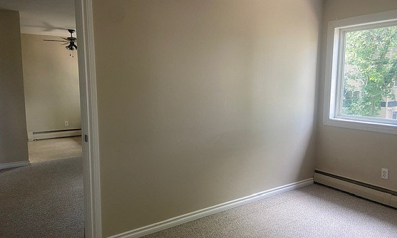 1 Bed 1 Bath Unit In...