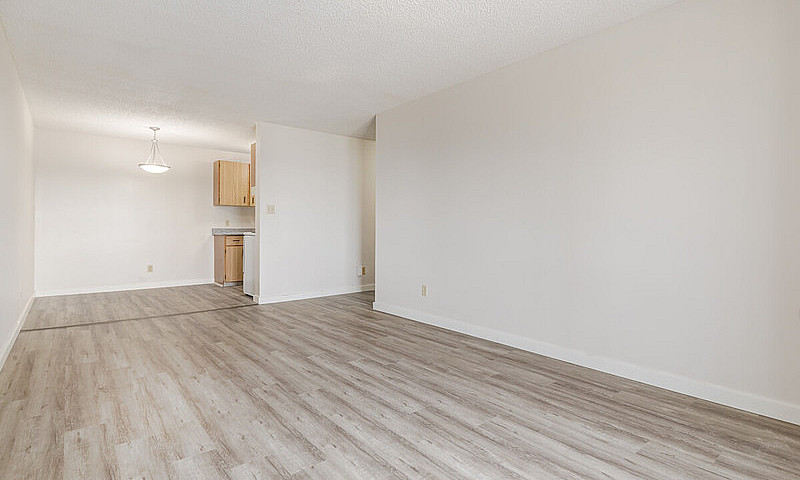 Modern Apartments Wi...