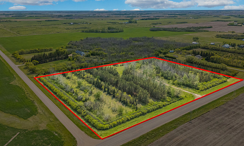 Serviced 10-Acre Tre...