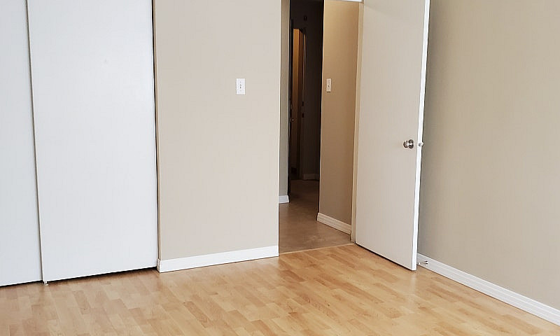 One Bedroom Apartmen...