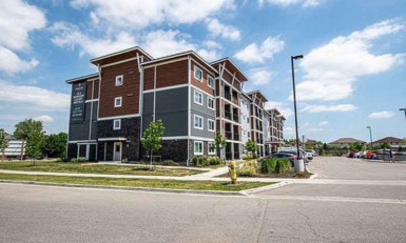 772 Paisley Rd., 4 R...
