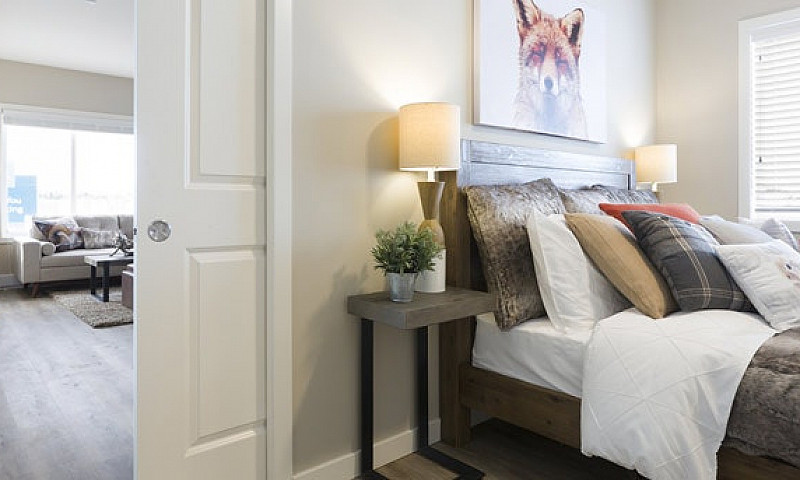 Element Townhomes In...