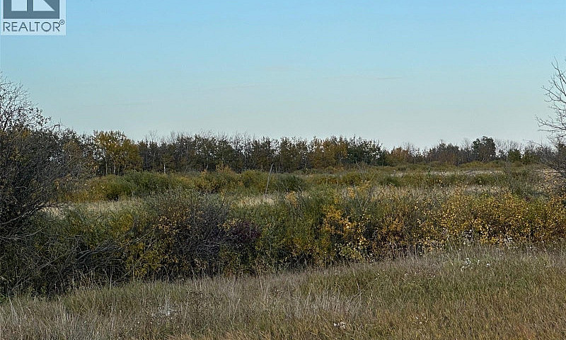 Lybeck 80 Acres Corm...