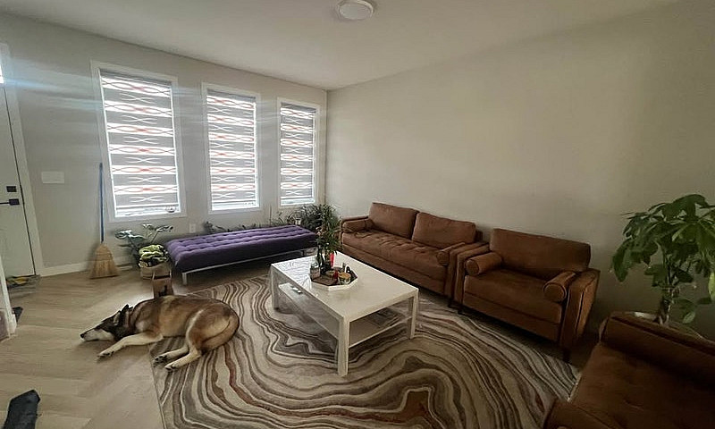 For Rent – Brand New...
