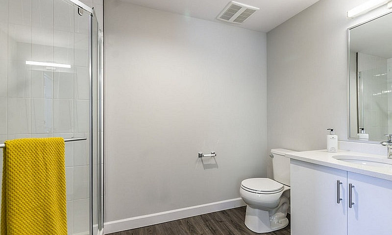 Student Rentals | No...