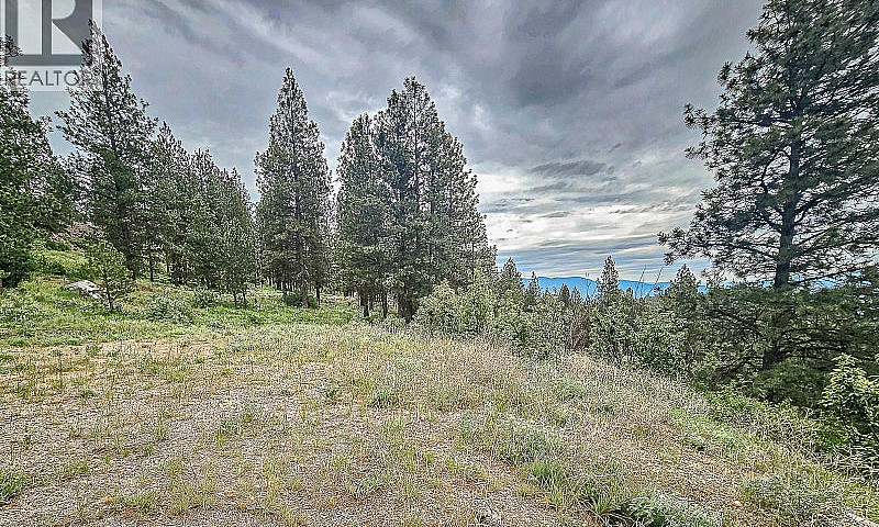 490 Sasquatch Trail ...