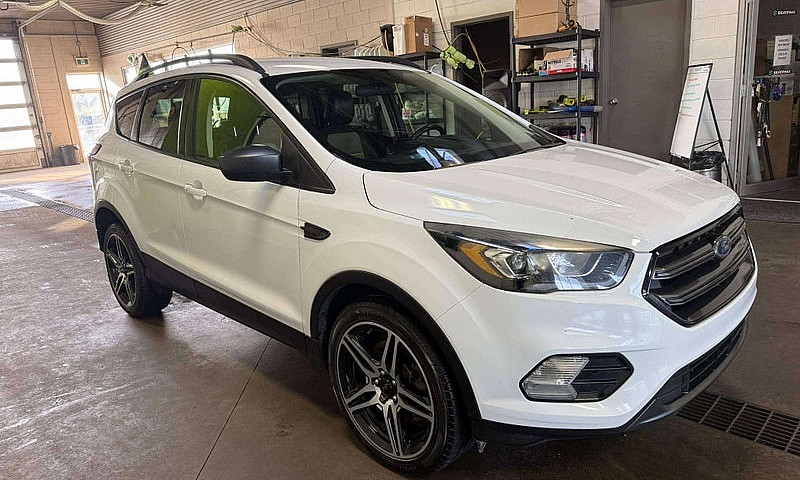 2019 Ford Escape Sel...