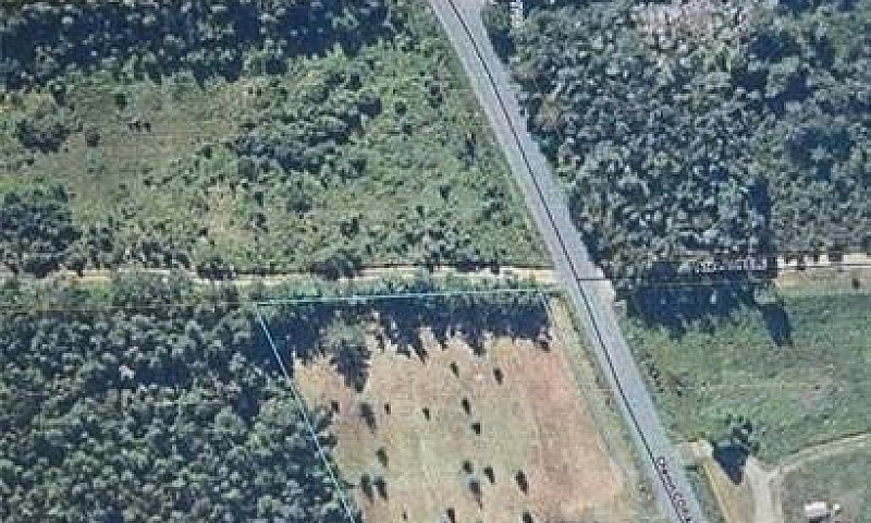 1.15 Acres Cowans Cr...
