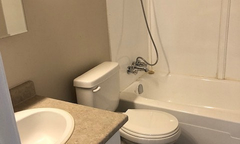 Bachelor Suites - Dr...
