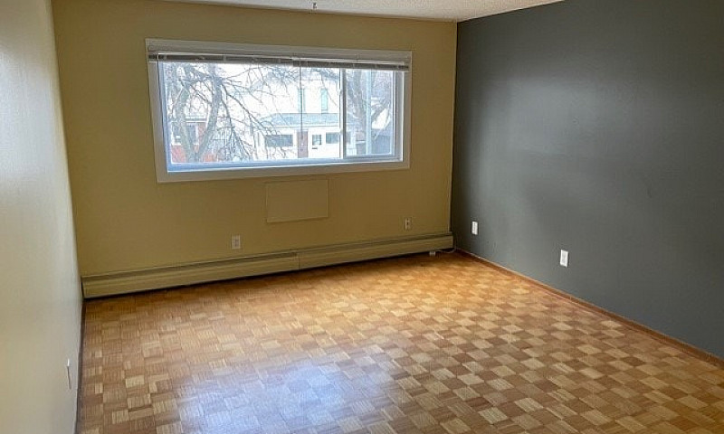 665 Maryland - 1 Br ...