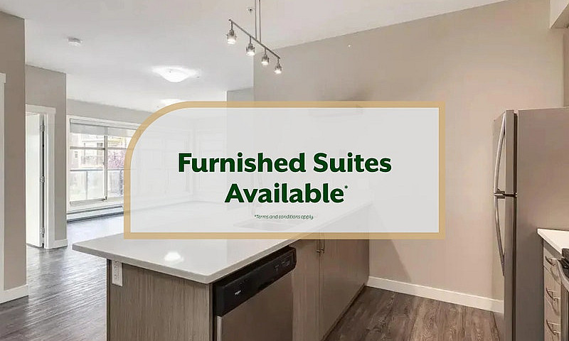 In-Suite Laundry, St...