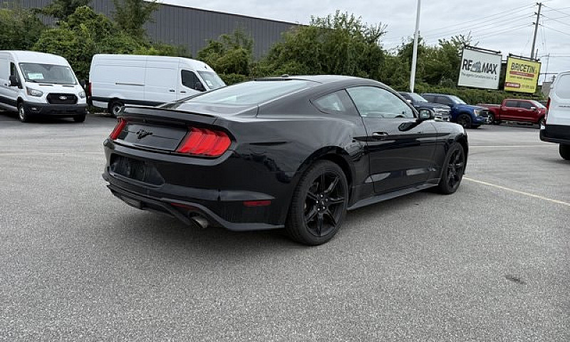 2019 Ford Mustang Ec...