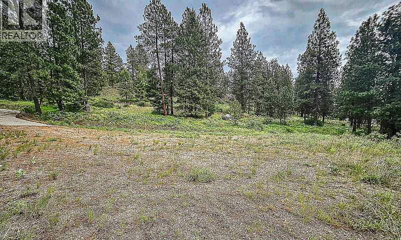 490 Sasquatch Trail ...
