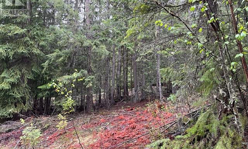 Lot 2 Bischoff Road ...