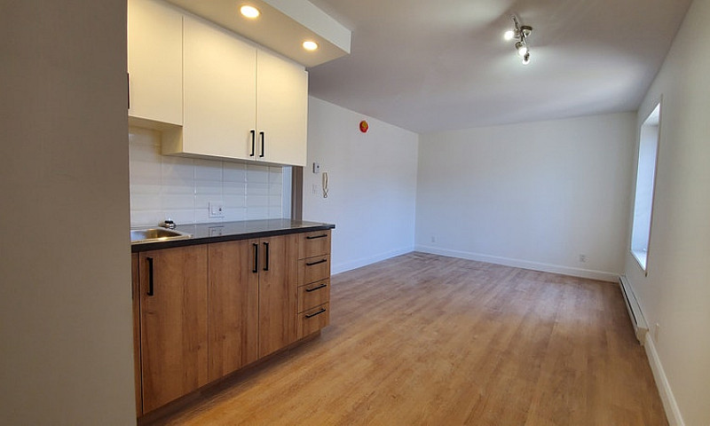 Superbe Logement Cen...