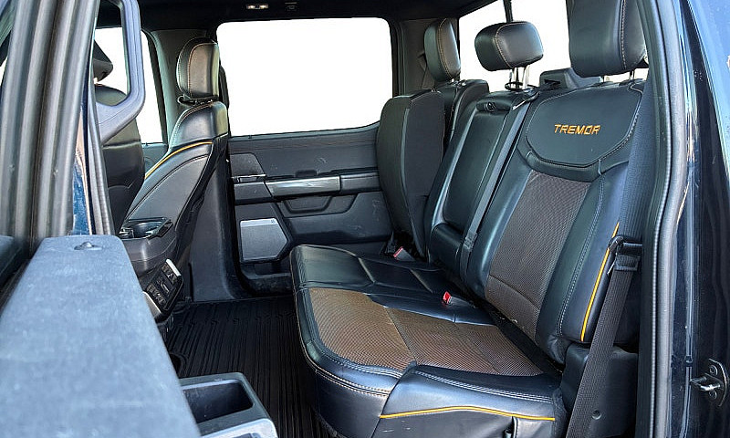 2023 Ford F-150 Trem...