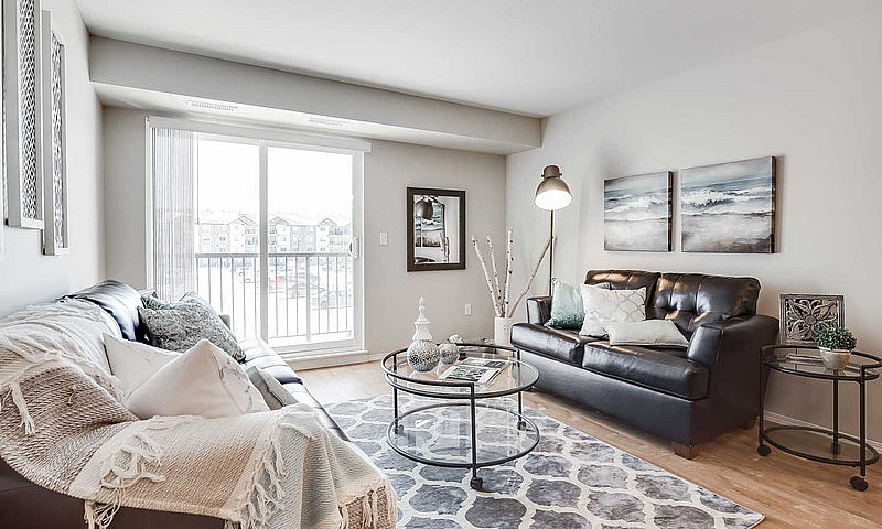 Pet-Friendly Three B...