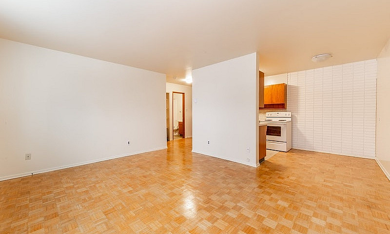 295 Midwinter Ave- 1...