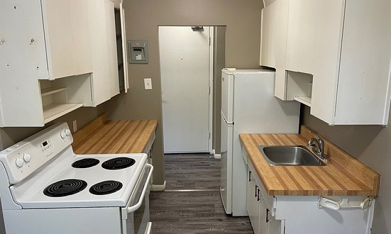 506 Balmoral - 1 Br ...