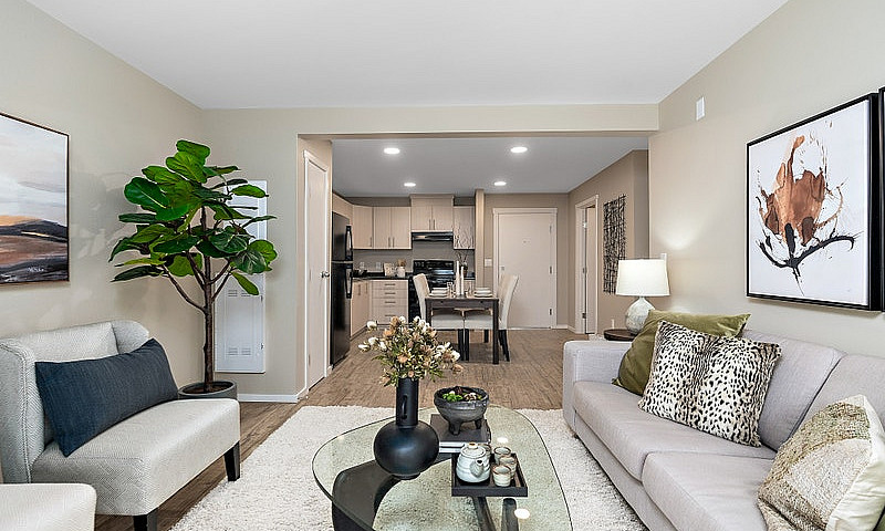 Pet-Friendly One Bed...
