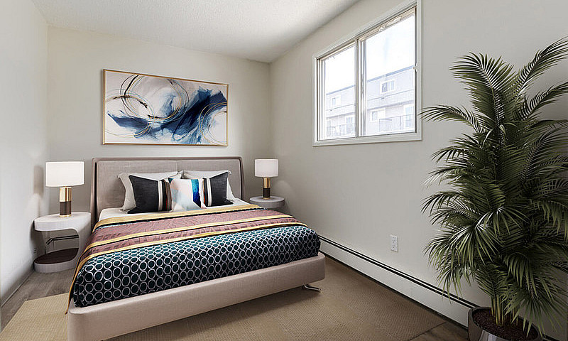 Modern Apartments Wi...