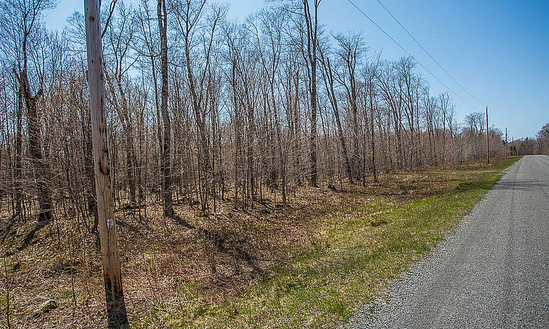 Lot 2 Red Maple Driv...