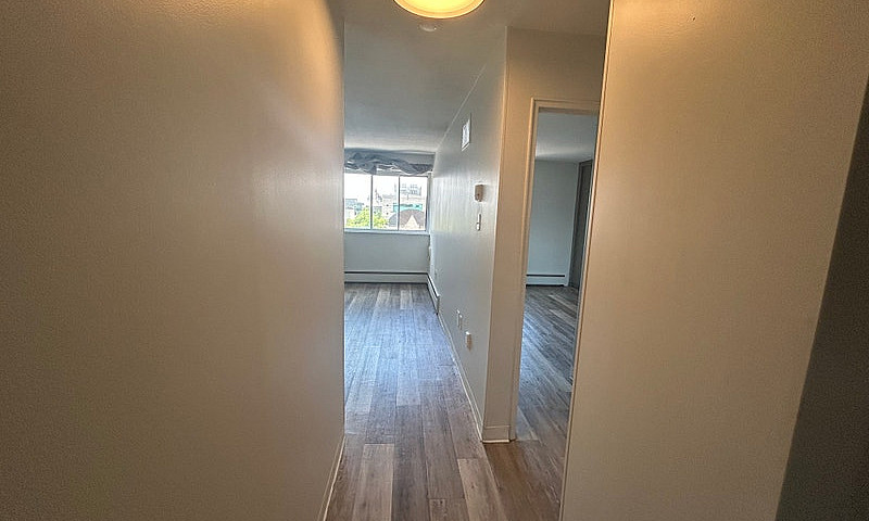 The Carson - 1Bdrm A...
