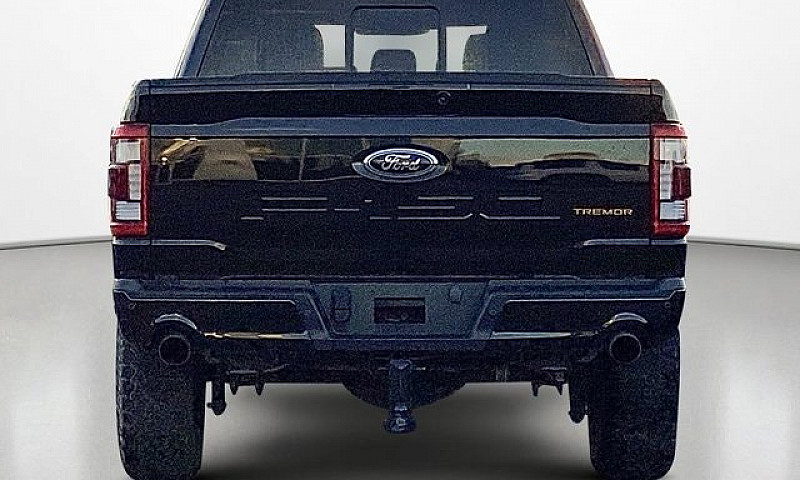2022 Ford F-150 Trem...