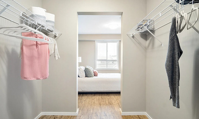 Pet-Friendly Three B...