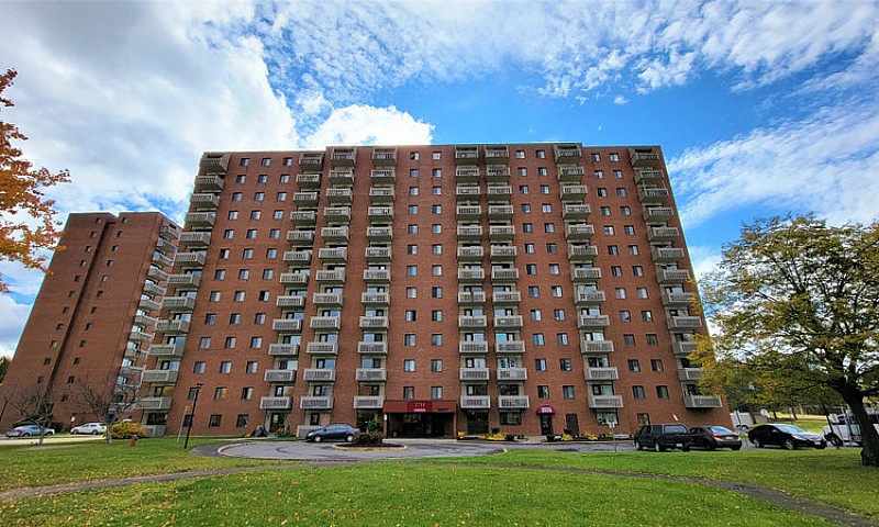 1 Bedroom Apartment ...
