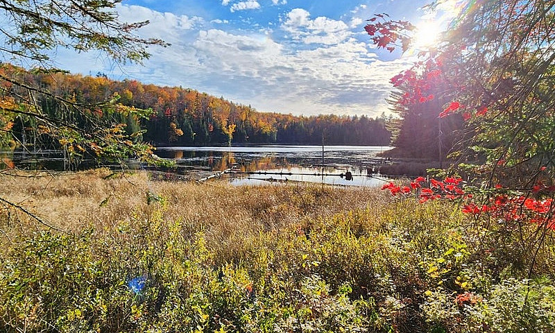 $699,999 - Land To B...