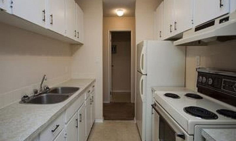 Bear Ridge Place - 1...