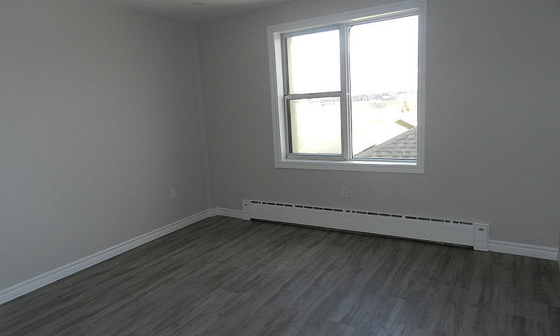 Newly Renovated Apar...