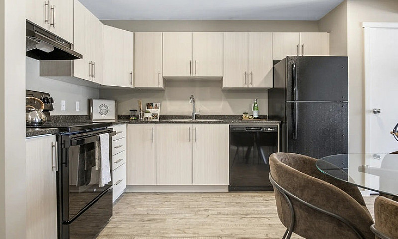 Pet-Friendly Three B...