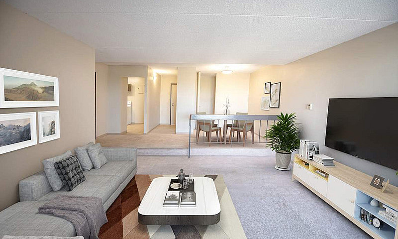 1 Bedroom Apartment ...