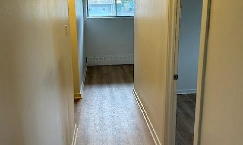 4 1/2 Rue Alfred, Br...