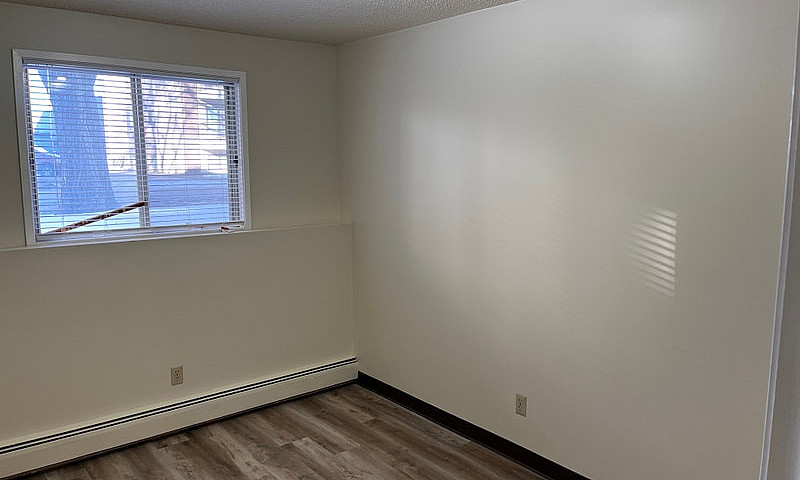 One Bedroom Apartmen...