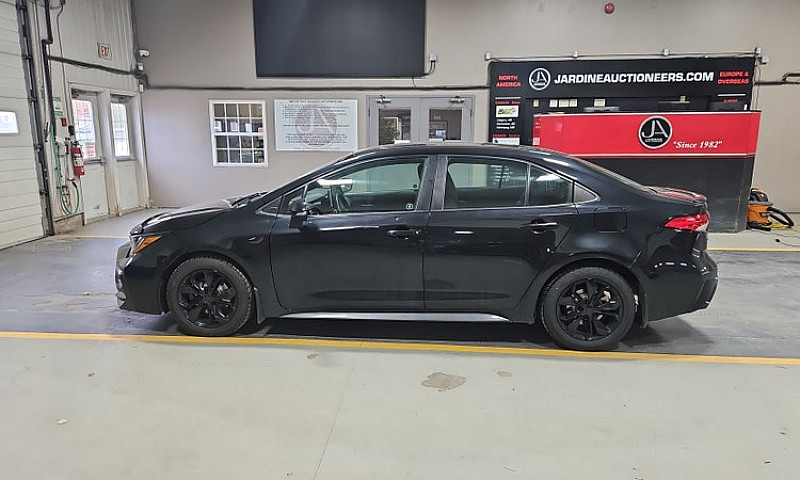 2020 Toyota Corolla...