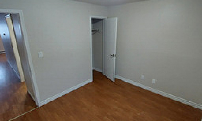 1 Bedroom Apartment ...