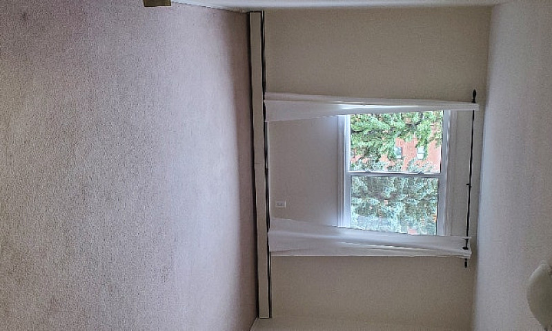 Renovated 1 Bdr - 10...