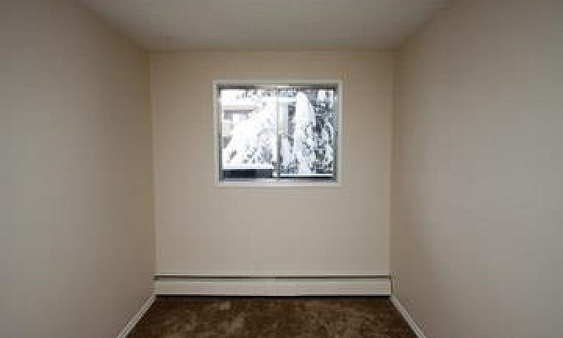 Bear Ridge Place - 1...