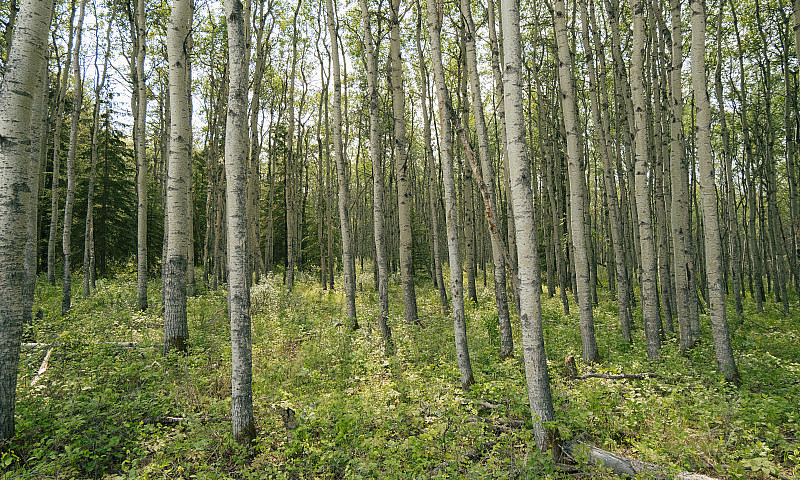 Stunning Acreage...