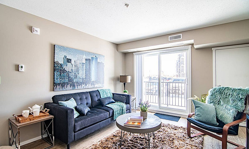 Pet-Friendly Three B...