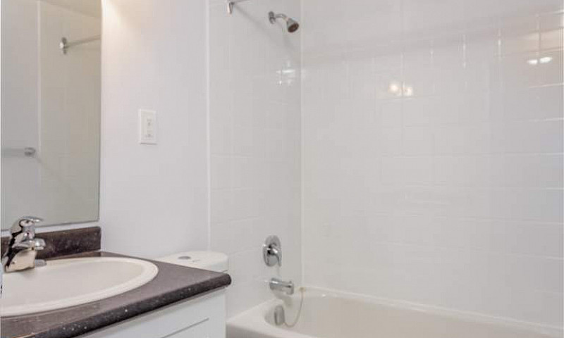 1 Bedroom Available ...