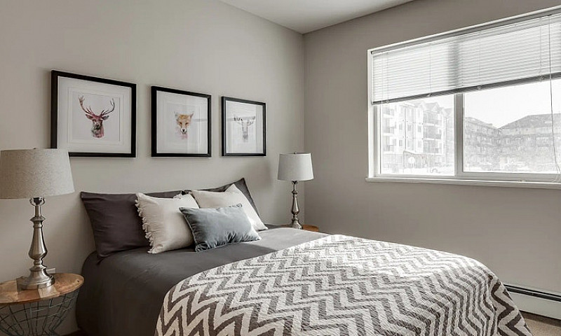 Pet-Friendly Two Bed...
