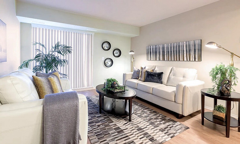 Pet-Friendly Three B...